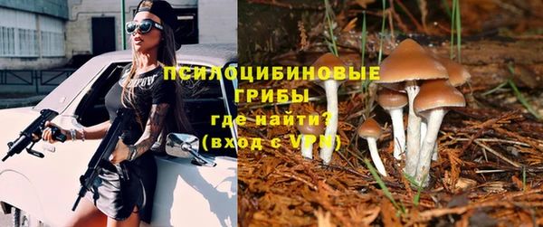 прущий лед Надым