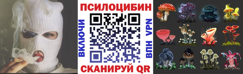 гидра онион Бахчисарай Псилоцибиновые грибы GOLDEN TEACHER хочу