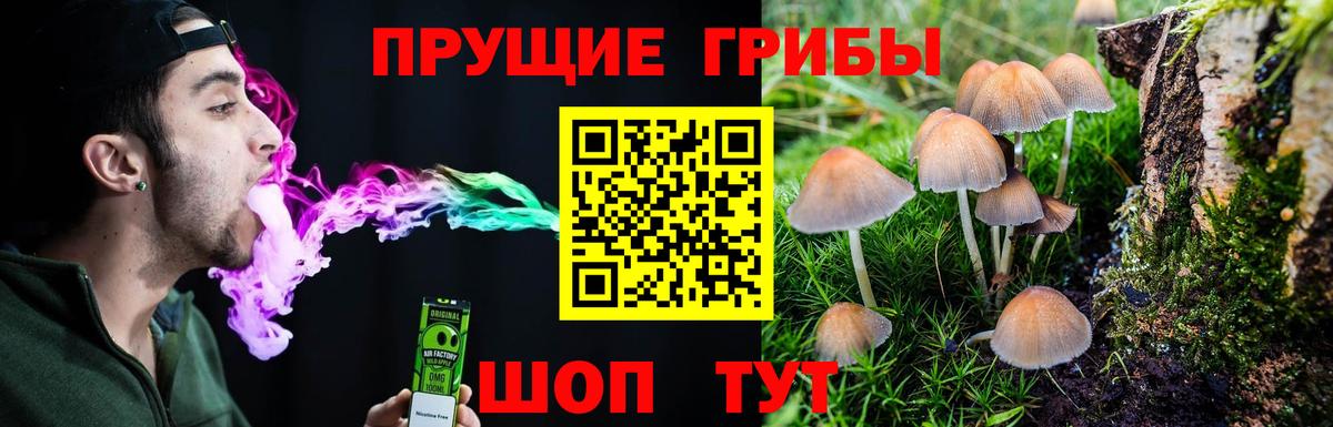 Псилоцибиновые грибы мицелий  Псилоцибиновые грибы Psilocybine cubensis  Вход с VPN  Бахчисарай 